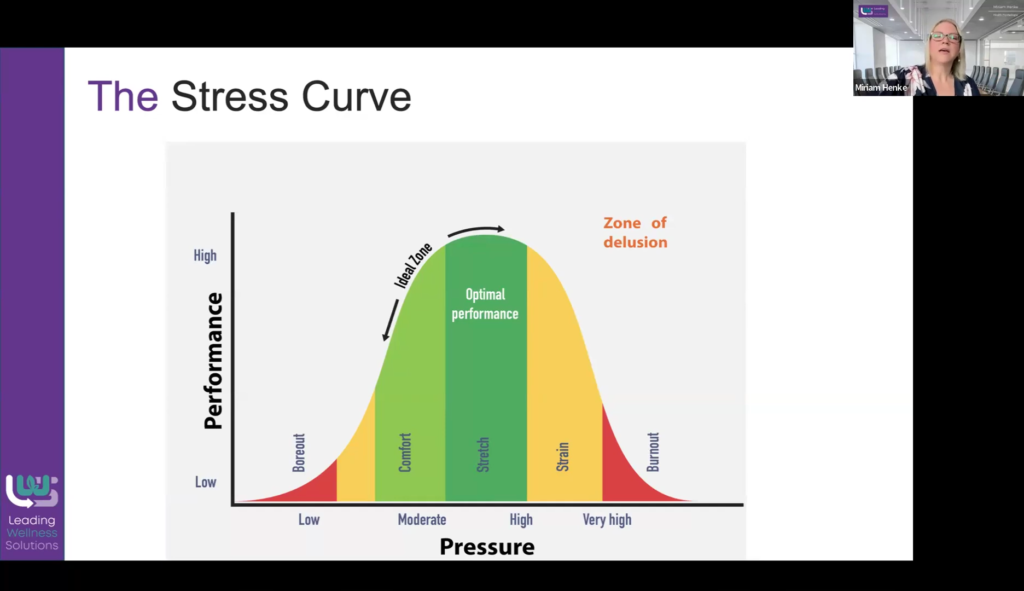 the stress curve